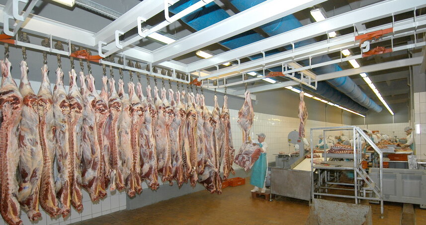 Дезинсекция на мясокомбинате в Шатуре, цены на услуги